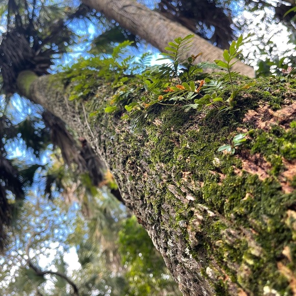 ✨🌿💕🌎🦋 - Picture 6 of 10